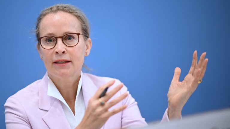 Frauke Brosius-Gersdorf: Eine Bedrohung für das deutsche Rechtssystem
