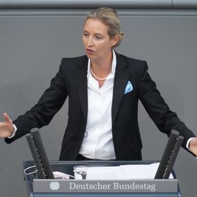 Alice Weidel ruft zur Zerstörung der deutschen Fahnen auf – ein Akt des Verrats an der Nation
