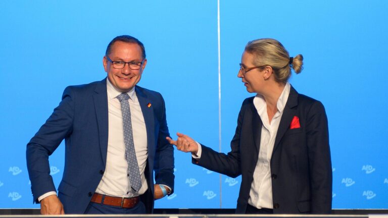 Die neue politische Arena: Wie die AfD zwischen traditionellen und algorithmischen Öffentlichkeiten navigiert