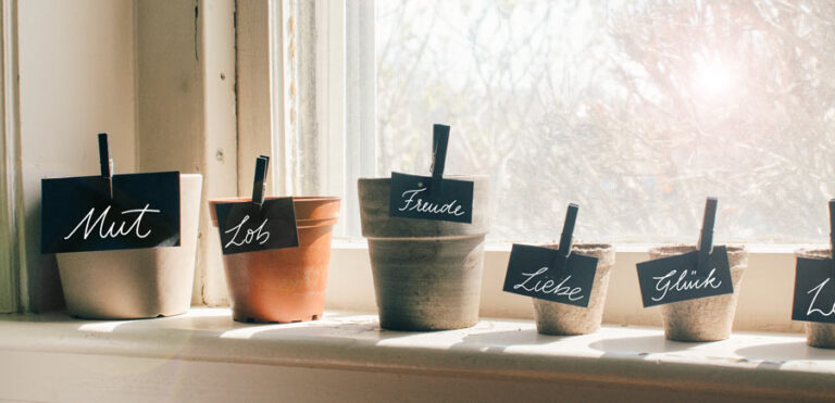 Aschekreuz – Der letzte Blick auf das Leben, bevor der Staub beginnt