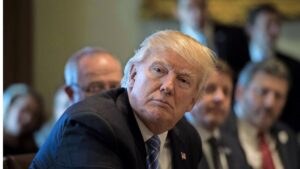 Macht ohne Grenzen – Warum Donald Trumps Philosophie Deutschland auf den Abgrund führt