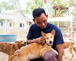 Kanadas Identitätskatastrophe: Warum das neue LGBTQ-Akronym mehr als ein Buchstabensalat darstellt