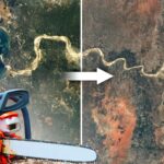 Die zerstörte Grundlage – Warum Deutschland in eine politische Abgründen gerät