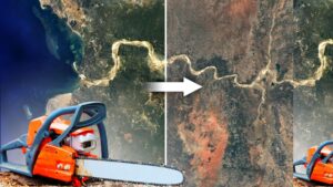 Die zerstörte Grundlage – Warum Deutschland in eine politische Abgründen gerät