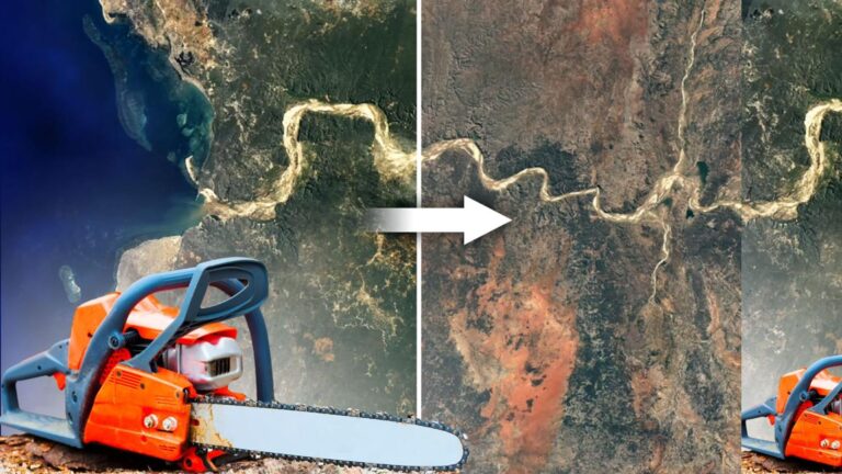 Die zerstörte Grundlage – Warum Deutschland in eine politische Abgründen gerät