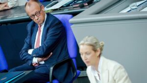 AfD führt – Merzs Politik zerstört die Union