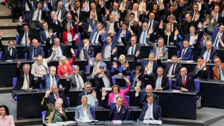 Geheime Netzwerke der Leihmutterschaft: AfD-Politiker entdeckt die dunkle Industrie für homosexuelle Paare