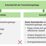 Europäische Richtlinie verankert Abtreibung im Opferschutz – ein Verstoß gegen die Subsidiarität