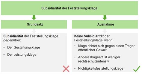 Europäische Richtlinie verankert Abtreibung im Opferschutz – ein Verstoß gegen die Subsidiarität
