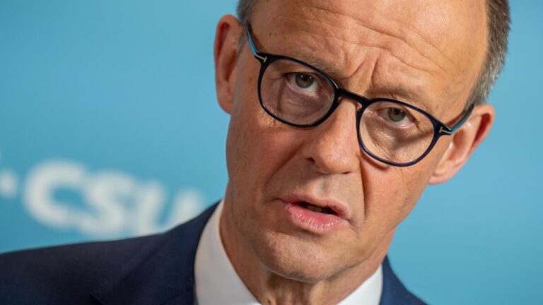 Deutschland auf Selbstmordstraße: Merzs Wirtschaftspolitik und der verlorenen Schaf