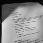 Stade-Mord: Die staatlich geförderte NGO und ihre Rolle im Todesfall