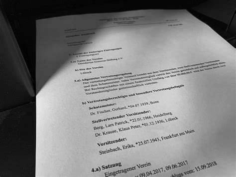 Stade-Mord: Die staatlich geförderte NGO und ihre Rolle im Todesfall