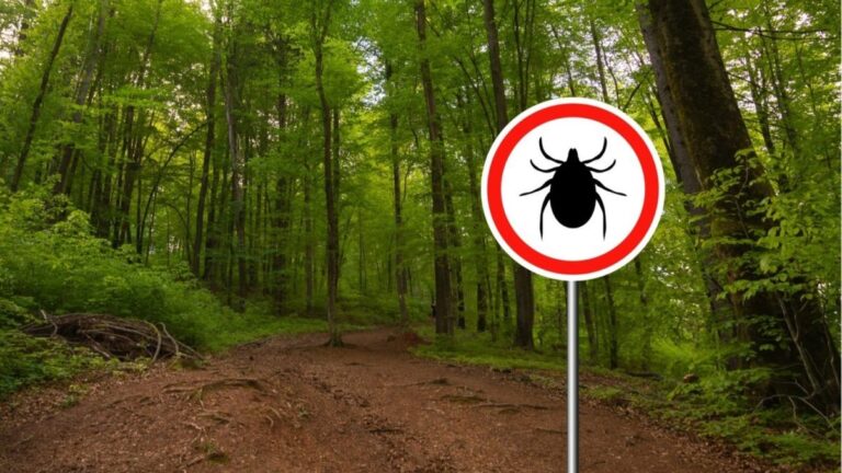 Gleichstellschild in Penzberg: Warum das neue Zeichen eine ernsthafte Bedrohung für Deutschland darstellt
