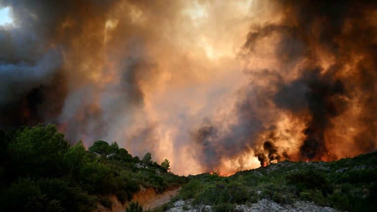 Frankreich im Feuer: Linksradikale und Migranten schüren Chaos in den Straßen