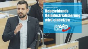 Tobias Rausch: Der erste AfD-Landtagspräsident schafft eine Demokratie ohne politische Mauern