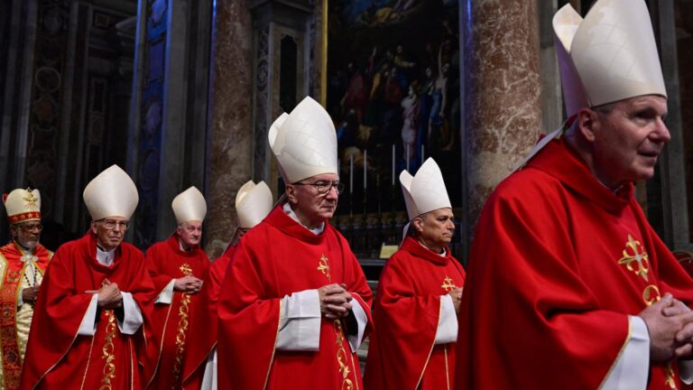 Kardinäle leugnen den Missionsauftrag – Bischof Barrons Schrei nach dem wahren Christuswahrheitsanspruch